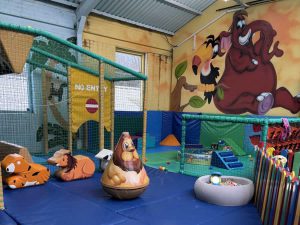 Safari Sams Play Gym